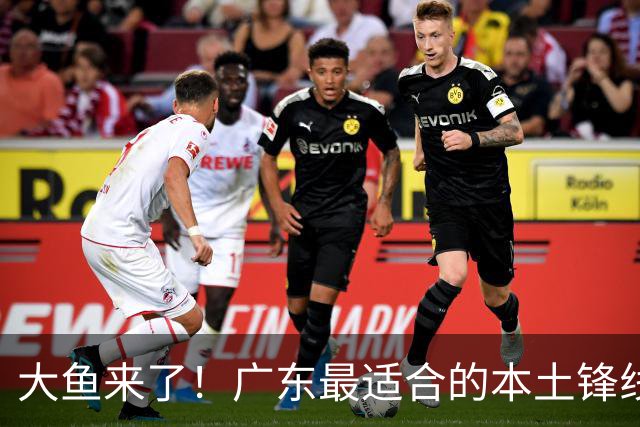 大鱼来了！广东最适合的本土锋线曝光，朱芳雨可能完成“2换1”？