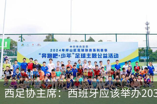 西足协主席：西班牙应该举办2030世界杯决赛，我们各方面条件最优